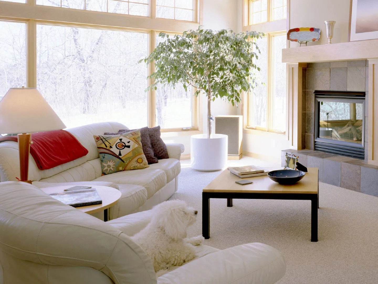 Achieving Balance in Organic Modern Living Room Design