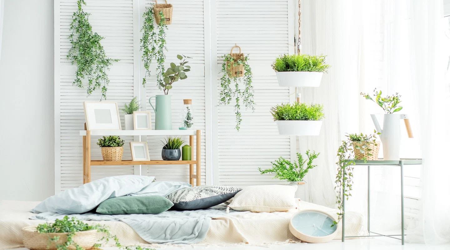 Indoor Plants and Natural Elements