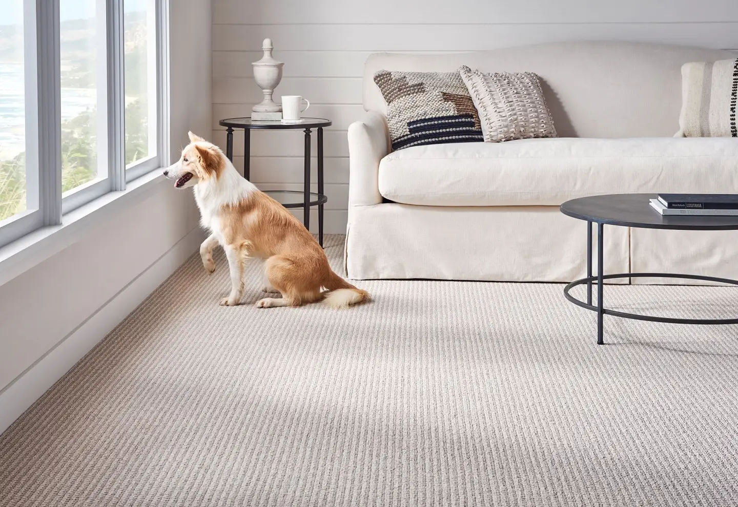 The Best Flooring Color to Hide Dog Hair: Practical Tips for Pet-Friendly Homes