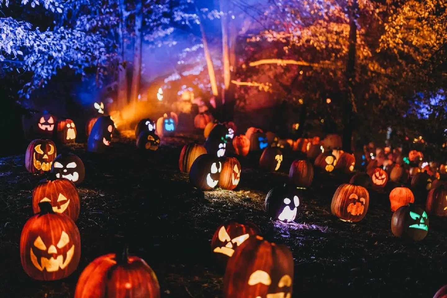 Spooky Scary Halloween 2023 Outdoor Decoration Ideas