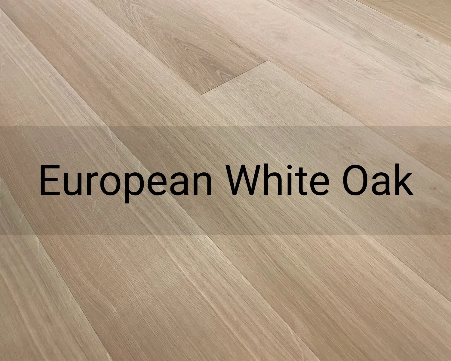 EUROPEAN WHITE OAK