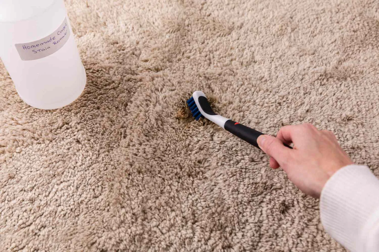 Types of Carpet Stains
