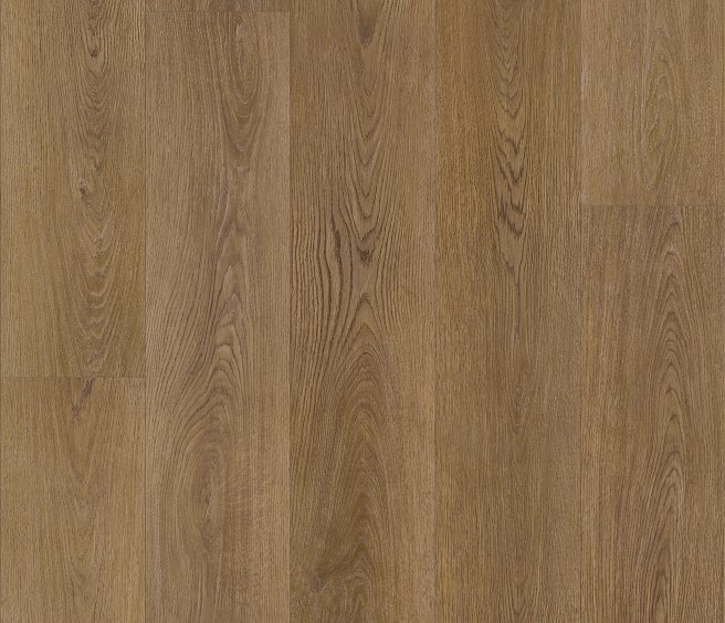 Saddle Oak