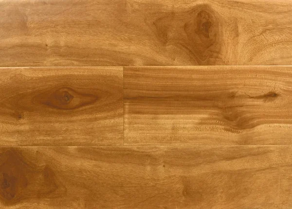 Cyberian Pine PA8963​