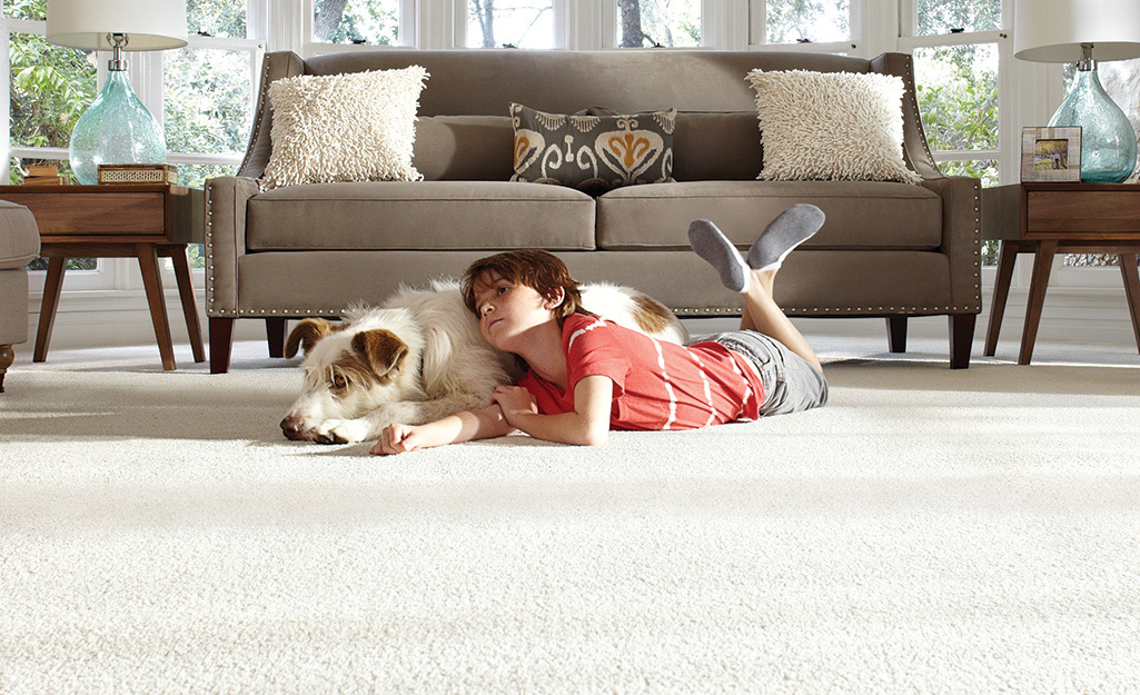 Republic Flooring Waterproof and Pet-Friendly Benefits