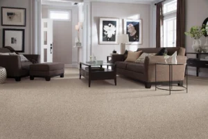 Textured or Plush Carpet