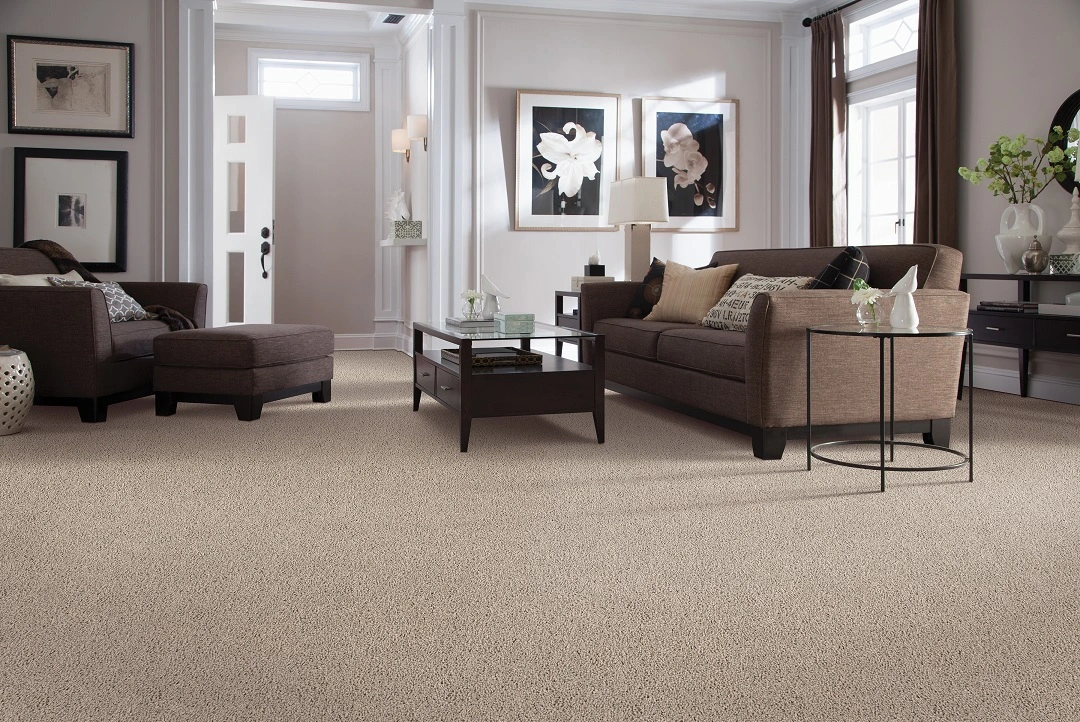 Choosing the Best Textured or Plush Carpet for Modern Homes