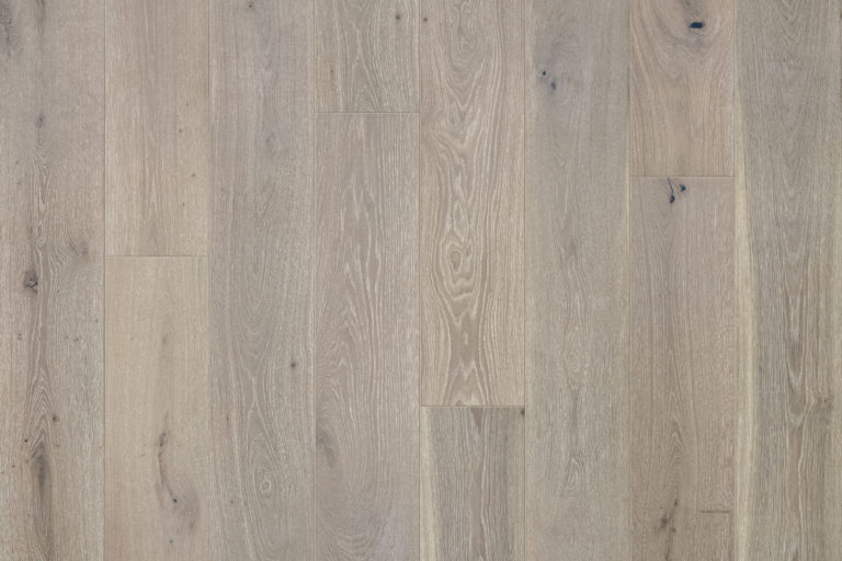 European Oak Paria